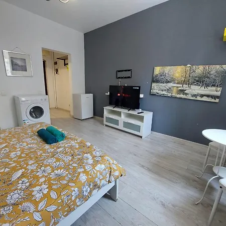 Central Apartment
